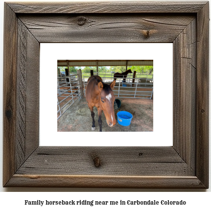 family horseback riding near me in Carbondale, Colorado